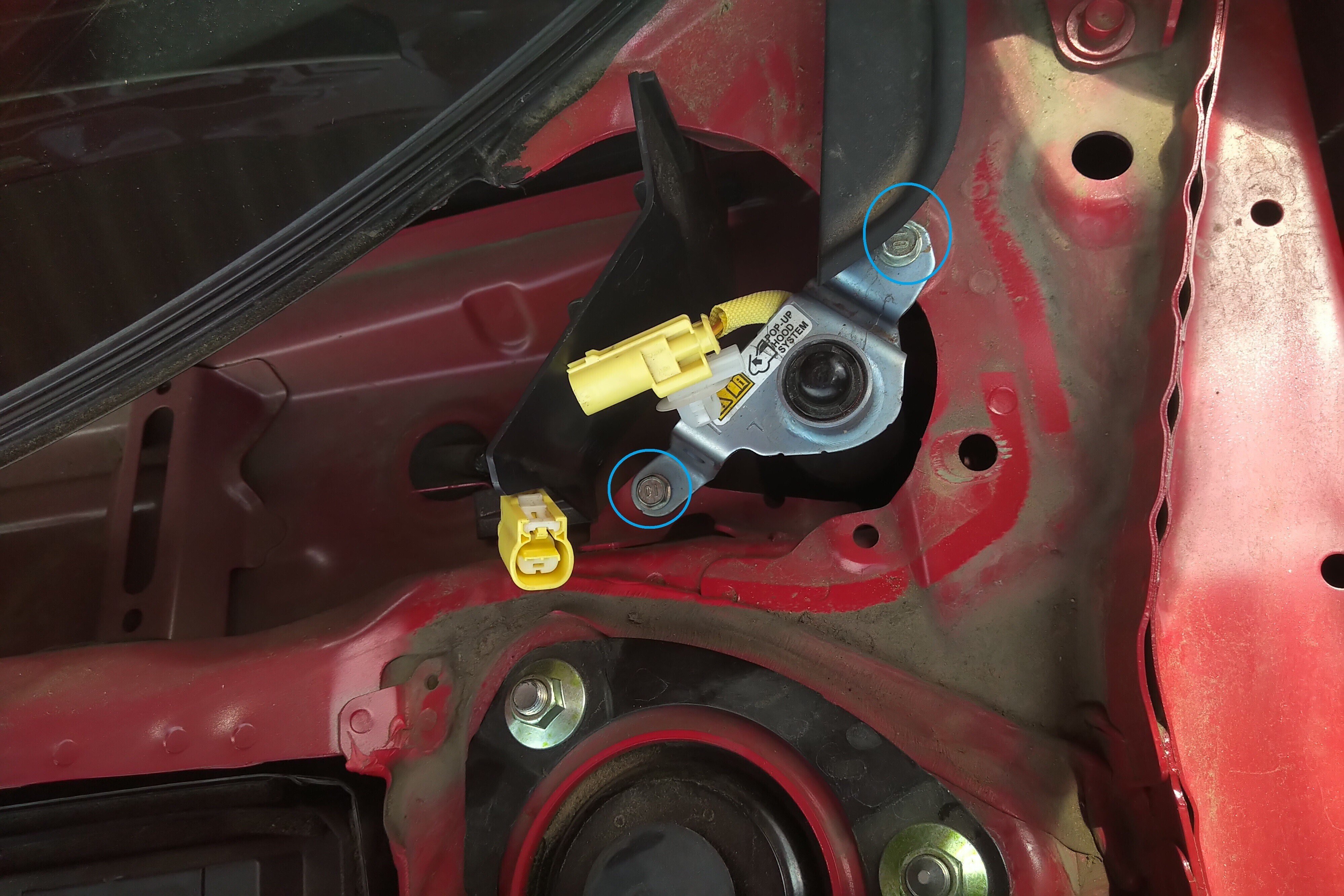 シビたそ】ポップアップフードシステム キャンセル[39,627km]｜＠由貴