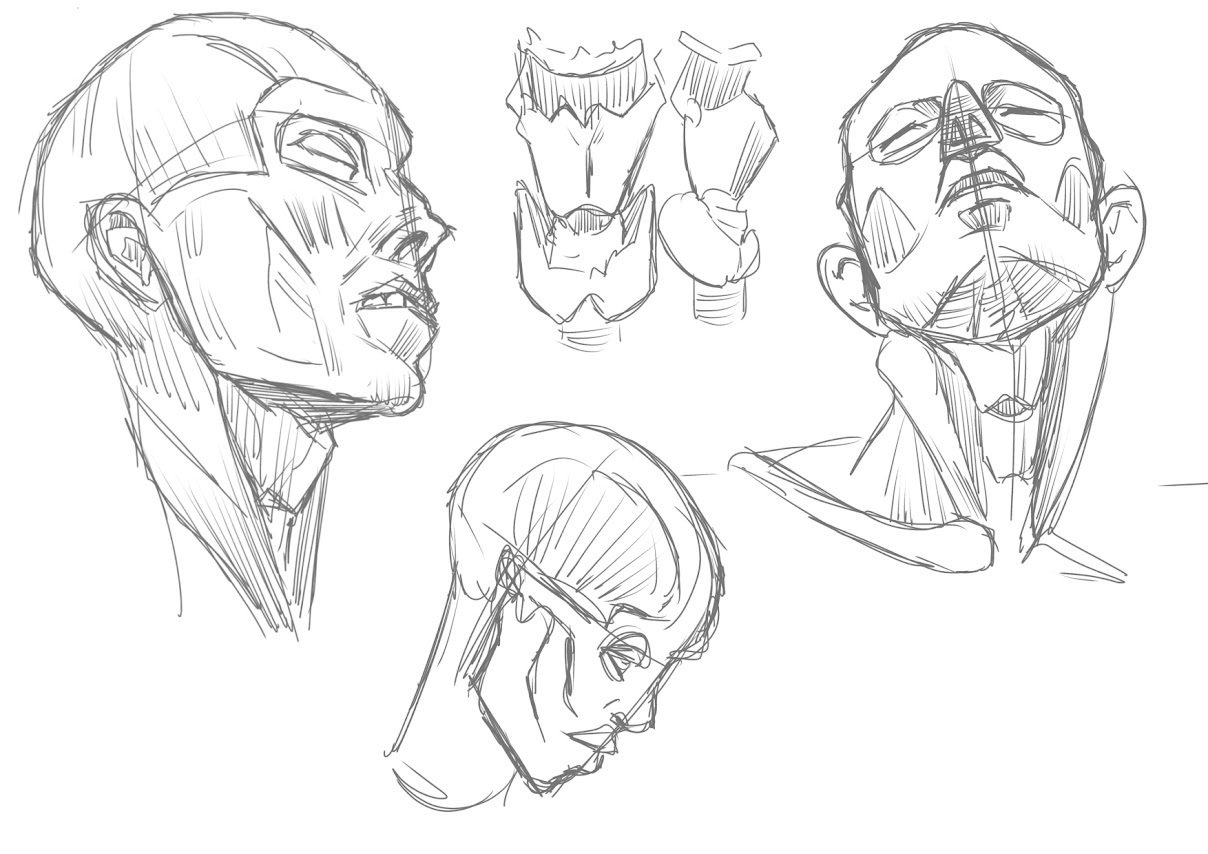 モルフォ人体デッサンで顔を模写練習してみた｜お絵かきたんたんと