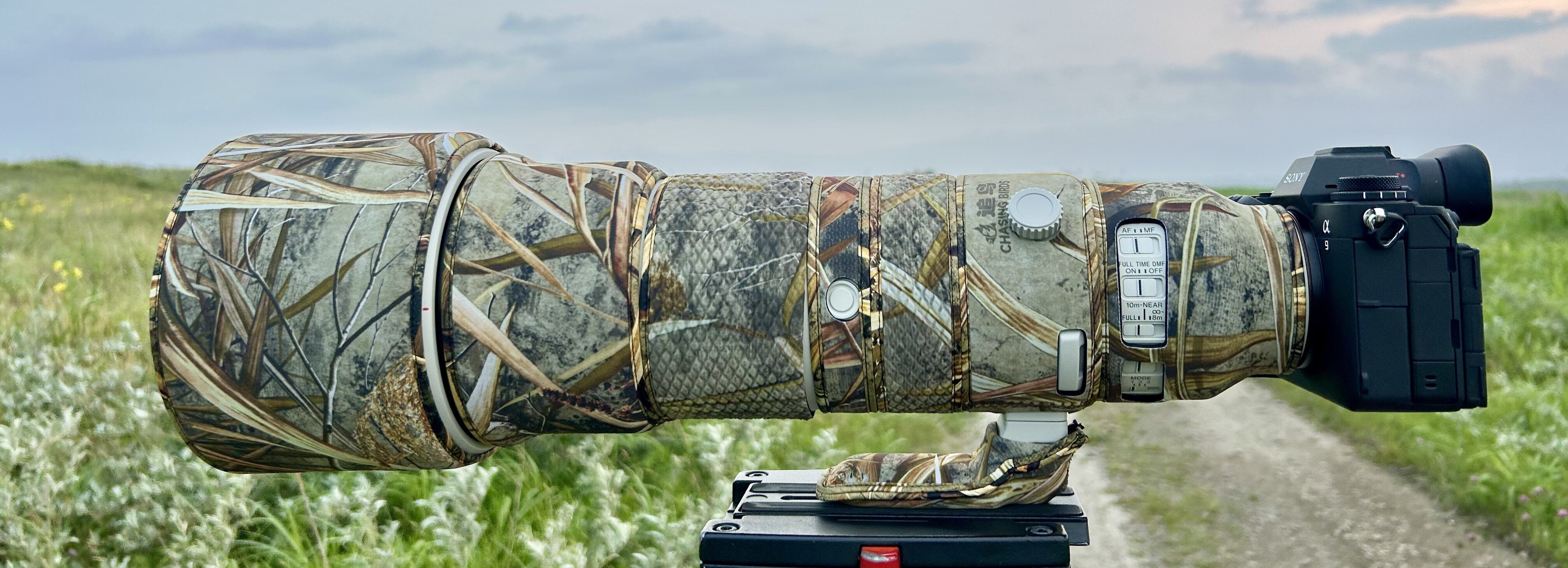 ソニー FE 400-800mm F6.3-8 G OSSで野鳥撮影｜TOLIMAN Hondα