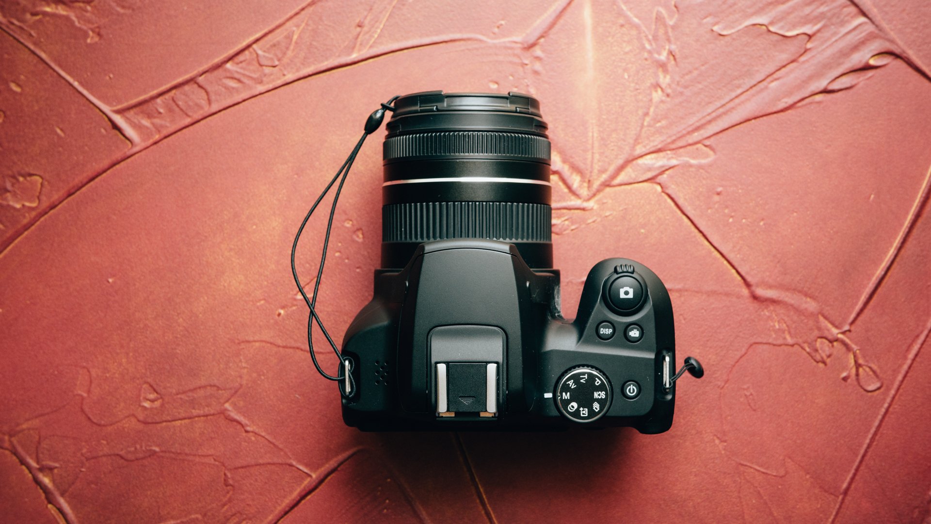 誰も買ってねぇ。ドン・キホーテの『一眼風デジカメ：Optical 10』の