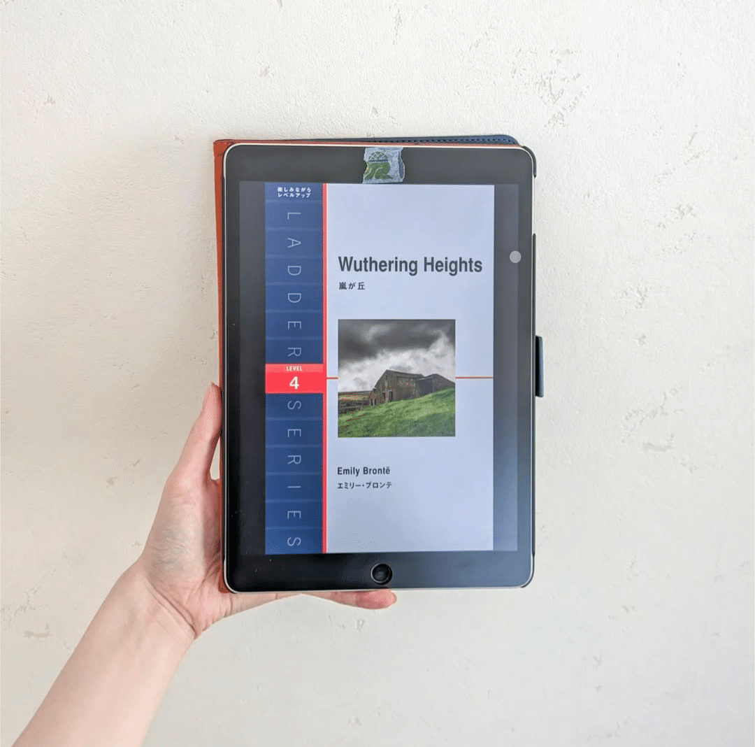 洋書10冊セット 詩集 レザータッチ 英語 英語勉強法【洋書多読】大人