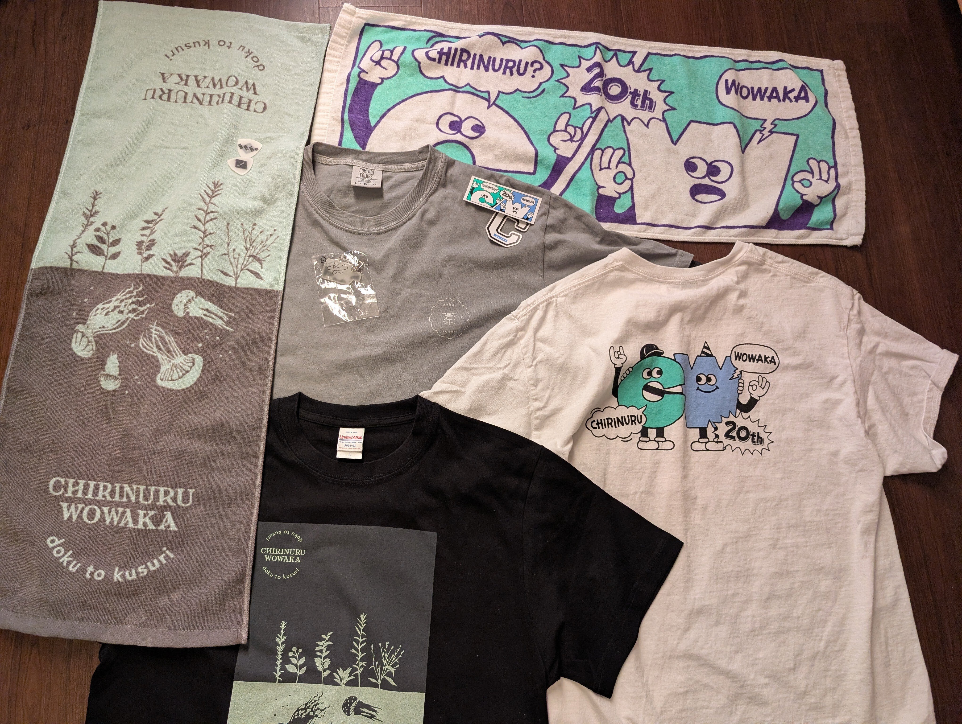 人生史上最高のバンド「チリヌルヲワカ」に出会ってしまった話｜いかおち