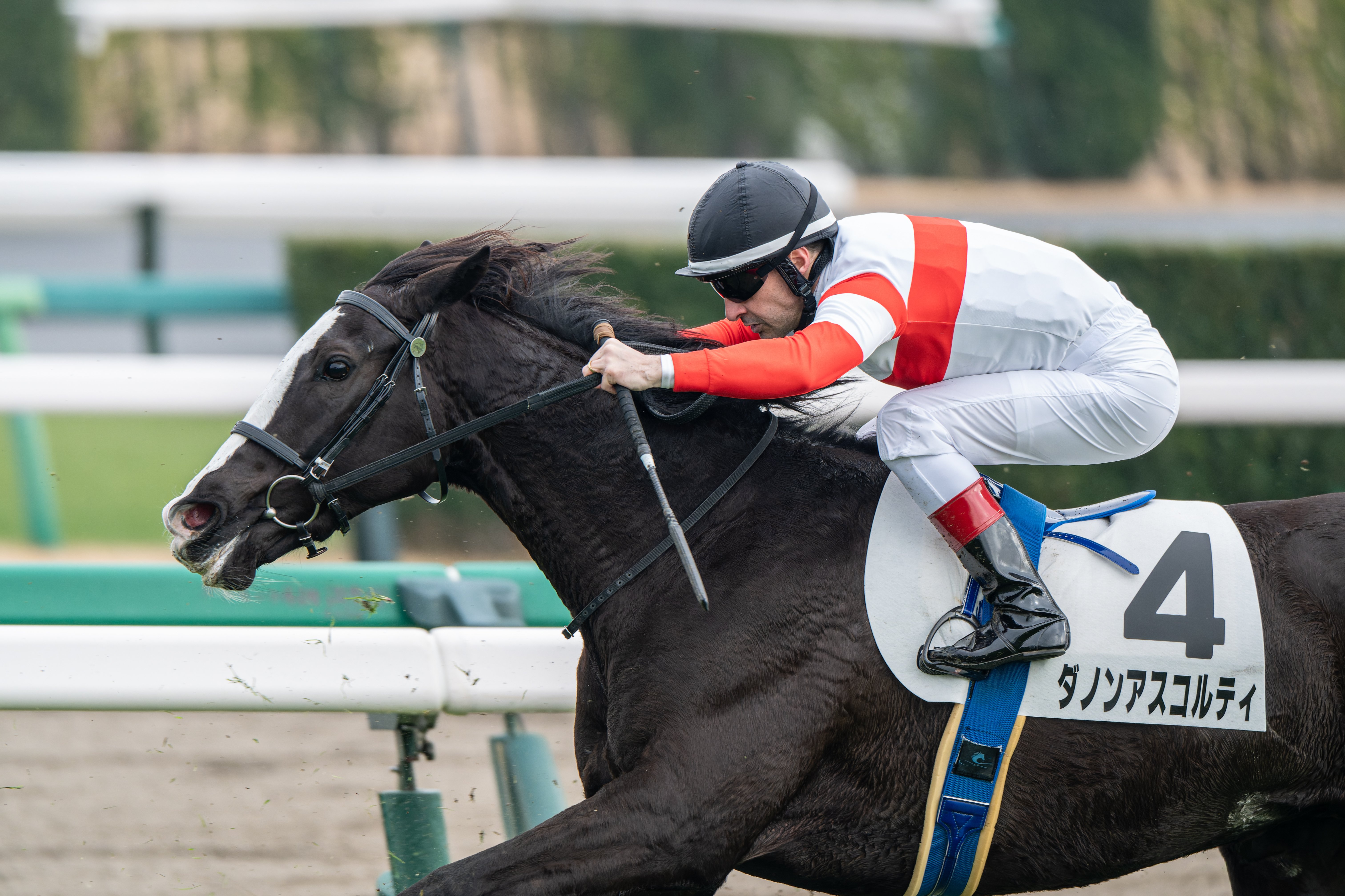 17 満を持して競馬撮影にNIKKOR Z 180-600mm f/5.6-6.3 VRを使う｜好き