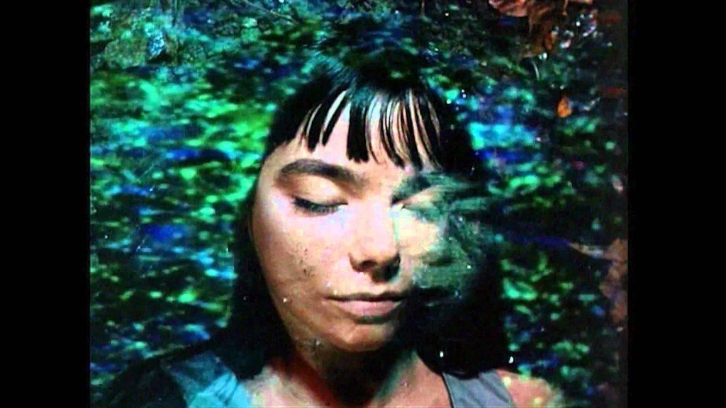 書を捨てよ、ビョークのMVを観よう｜椛美