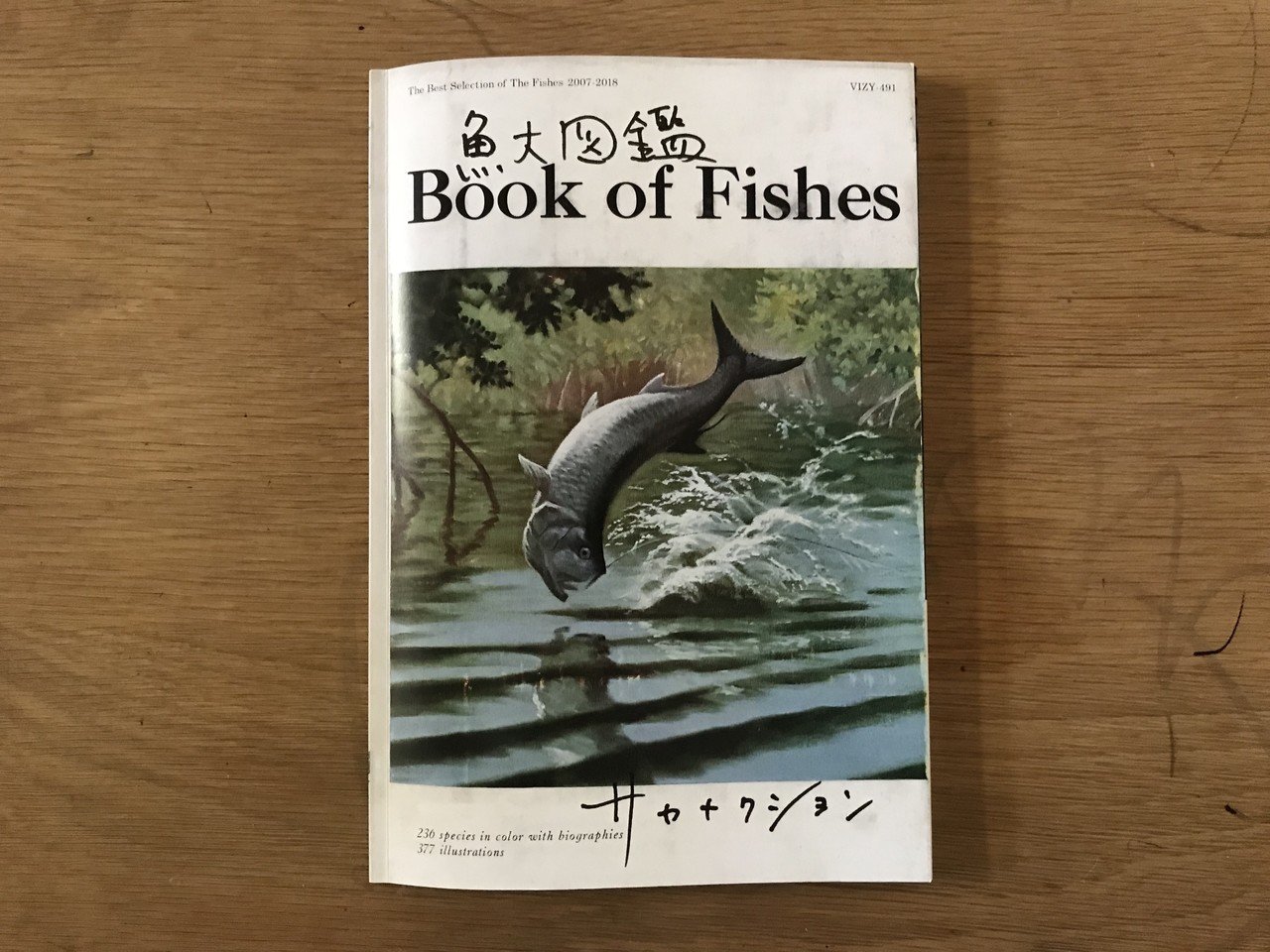 音楽のデザインをちゃんと見る：サカナクション「魚図鑑」｜梅野竜一