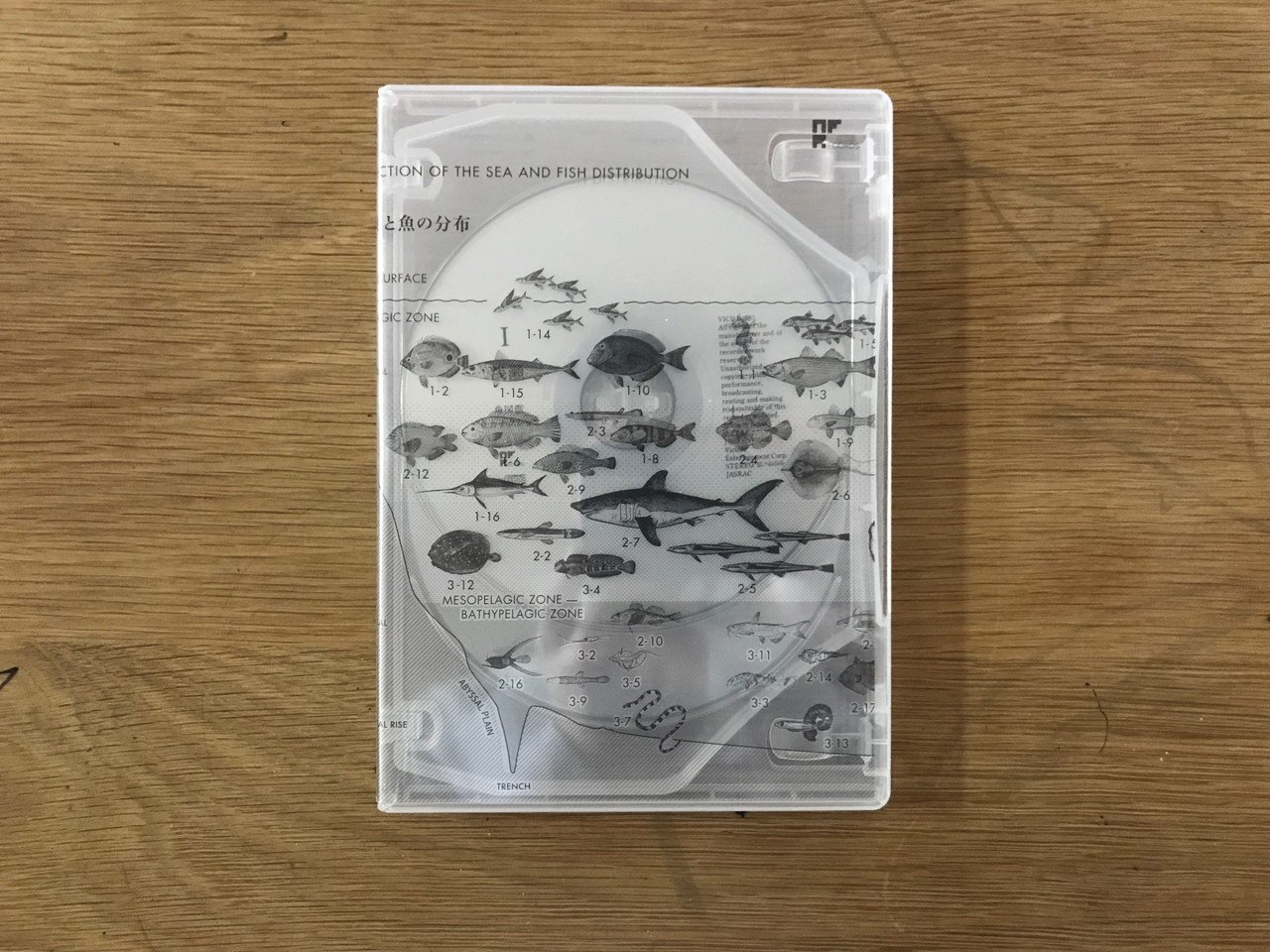 音楽のデザインをちゃんと見る：サカナクション「魚図鑑」｜梅野竜一