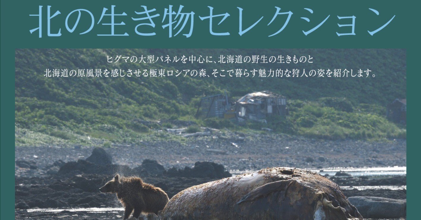 80722b11473cdca917ab5732b85810