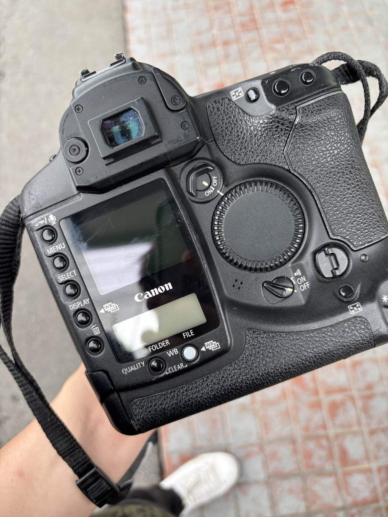 APS-HのCCDだ Canon EOS-1D初代｜けいふ