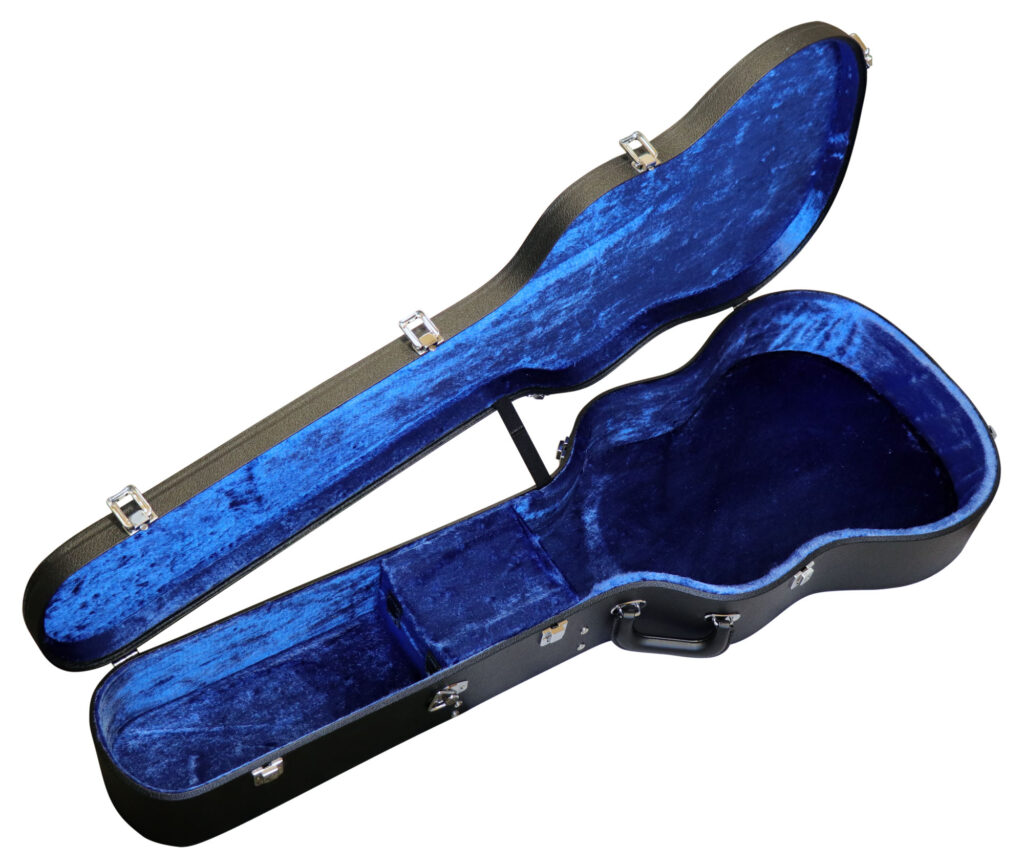 10弦＆11弦ギター用ケース - ASTURIAS