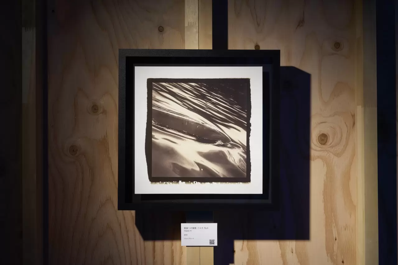 質量への憧憬 イルカ No.4 by 落合陽一 | 現代アートの販売・通販