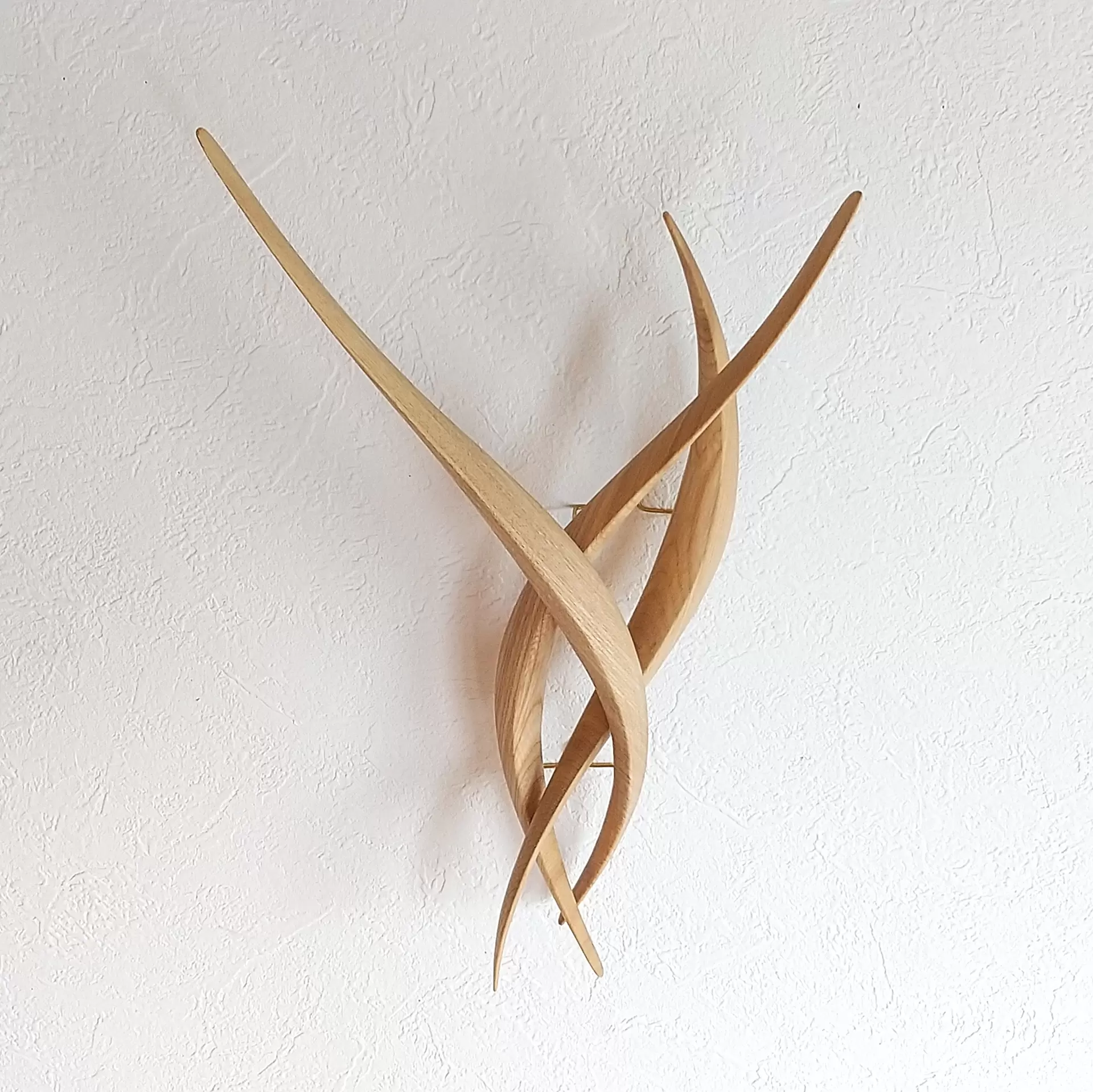 96227_173517884310478_x.webp?