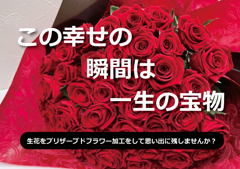 三代目J SOUL BROTHERSバラ – aquxya flower & jewelryのブログ