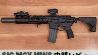 Toxicant SIG MCX Virtus MWSの調整をしました | aqua5150 gear review