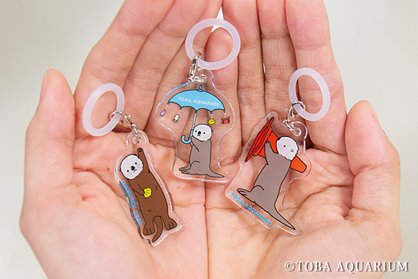 春の企画展「キラ☆メイて！トバスイ春のラッコ祭り」開催！ | 鳥羽