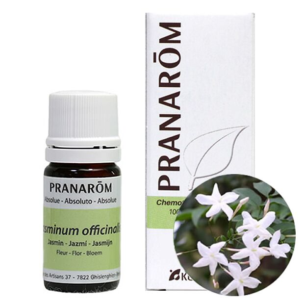 プラナロム ジャスミン Abs.｜アロマ×アロマ