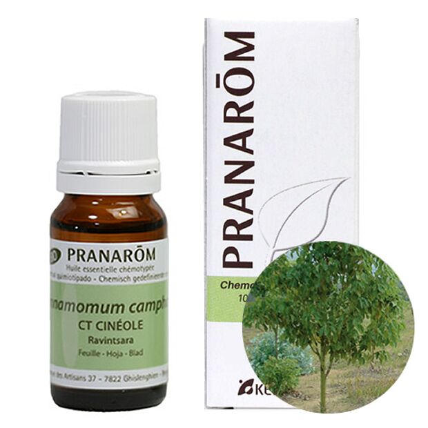 プラナロム ラヴィンサラ/ラヴィンツァラ｜アロマ×アロマ