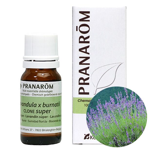 プラナロム ラベンダー スーパー｜アロマ×アロマ
