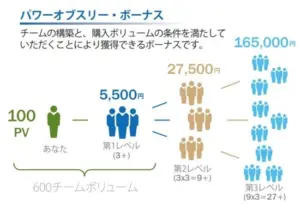 ドテラのボーナスの仕組み（システム）について分かりやすく解説します