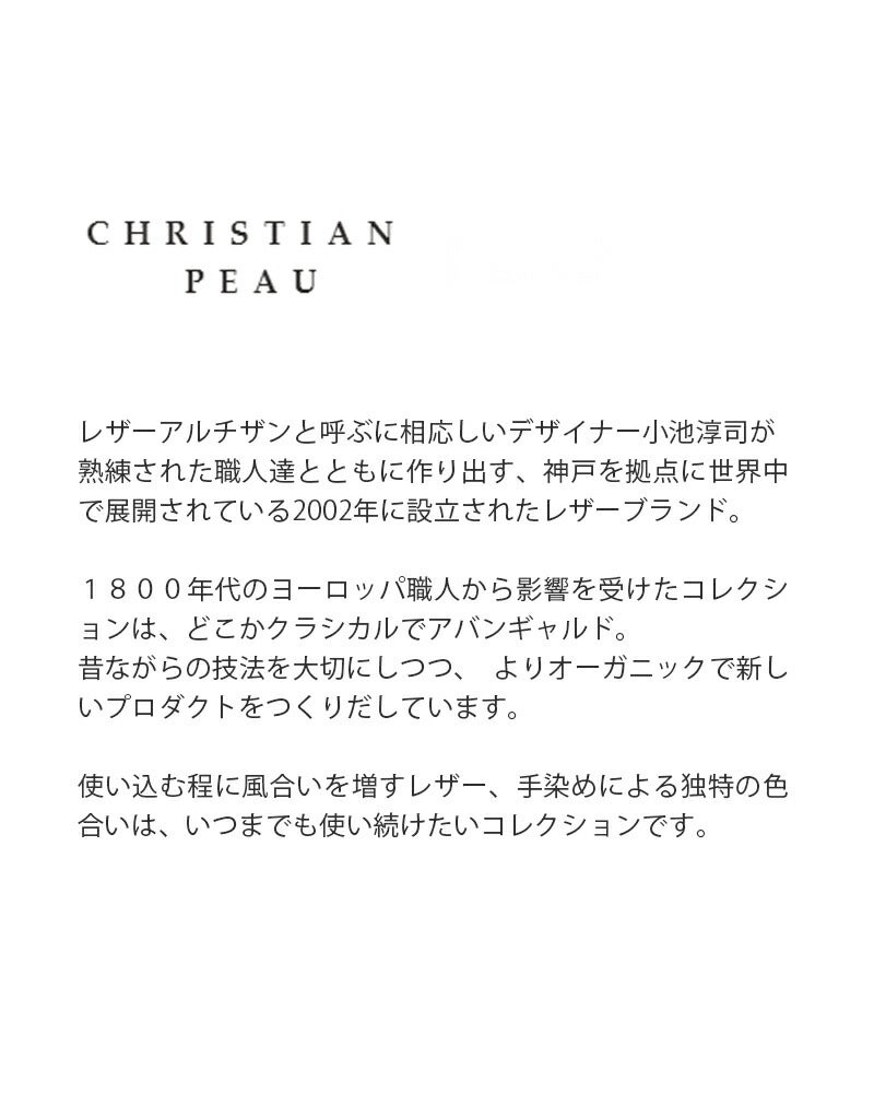 CHRISTIAN PEAU クリスチャンポー 2way カウレザー バッグ 06456-1-cp