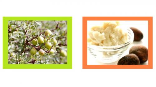 ナガセ ビューティケァ 健康食品 化粧品 通信販売 アルカンジュ