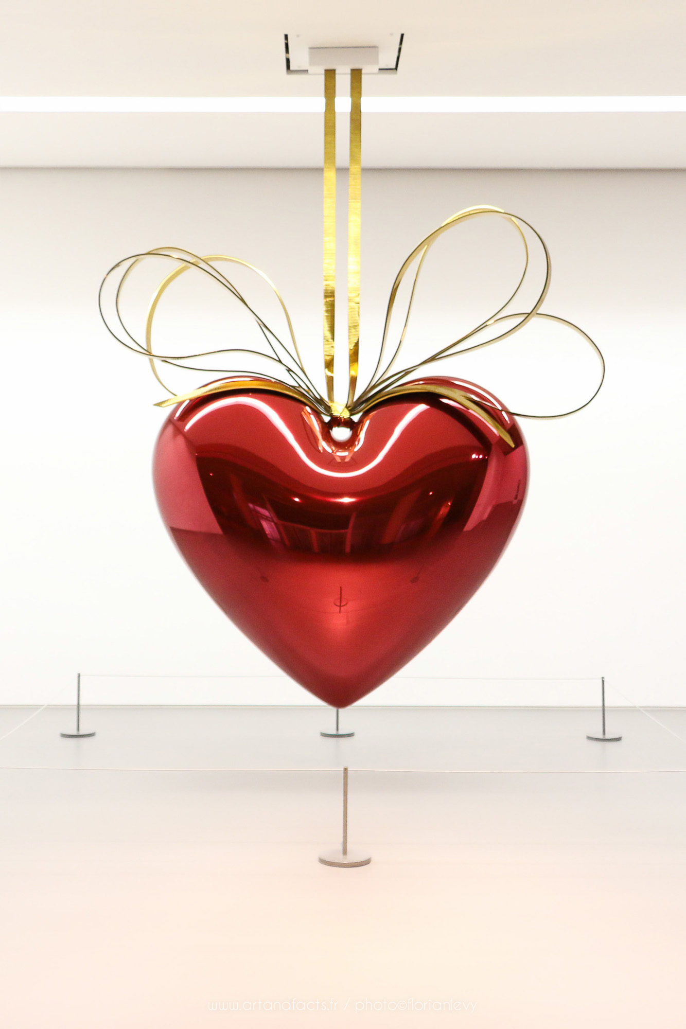 Jeff Koons (1955 - ) : Free Download, Borrow, and Streaming