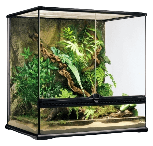 GEX ジェックス EXOTERRA エキゾテラ特集 | チャーム