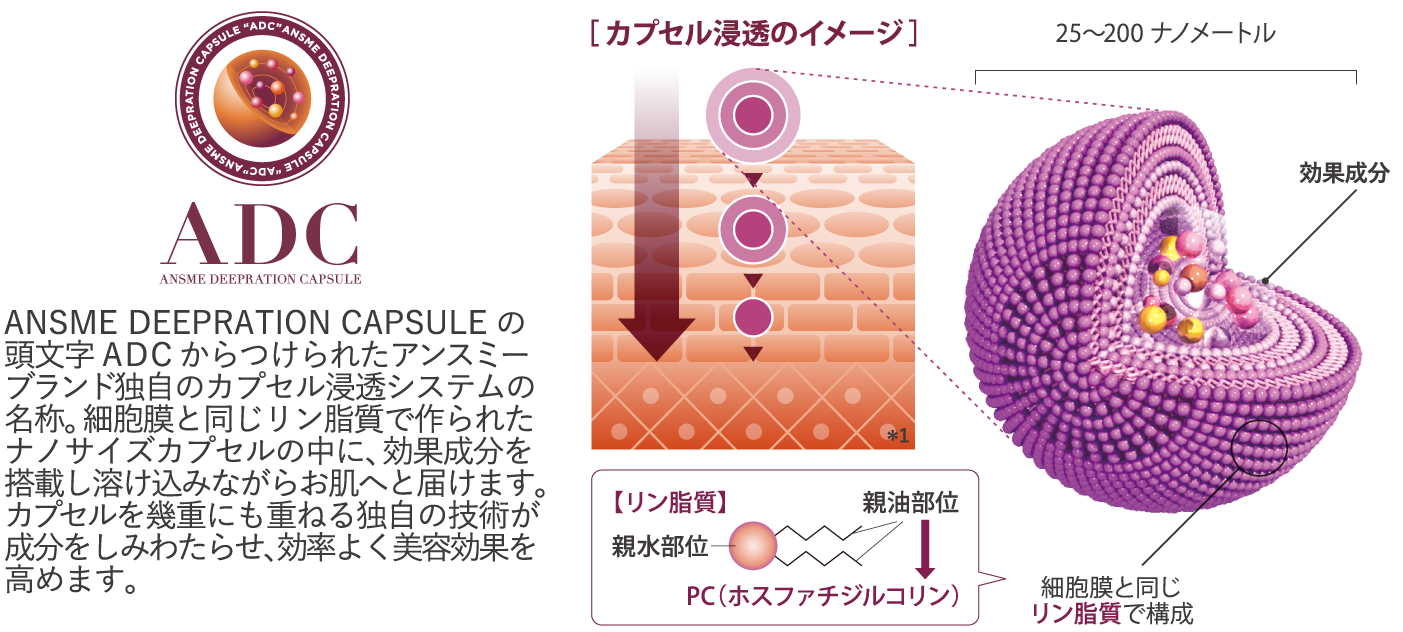SP デトダーマ | アリストレンディ公式サイト｜ エステの開業と経営を