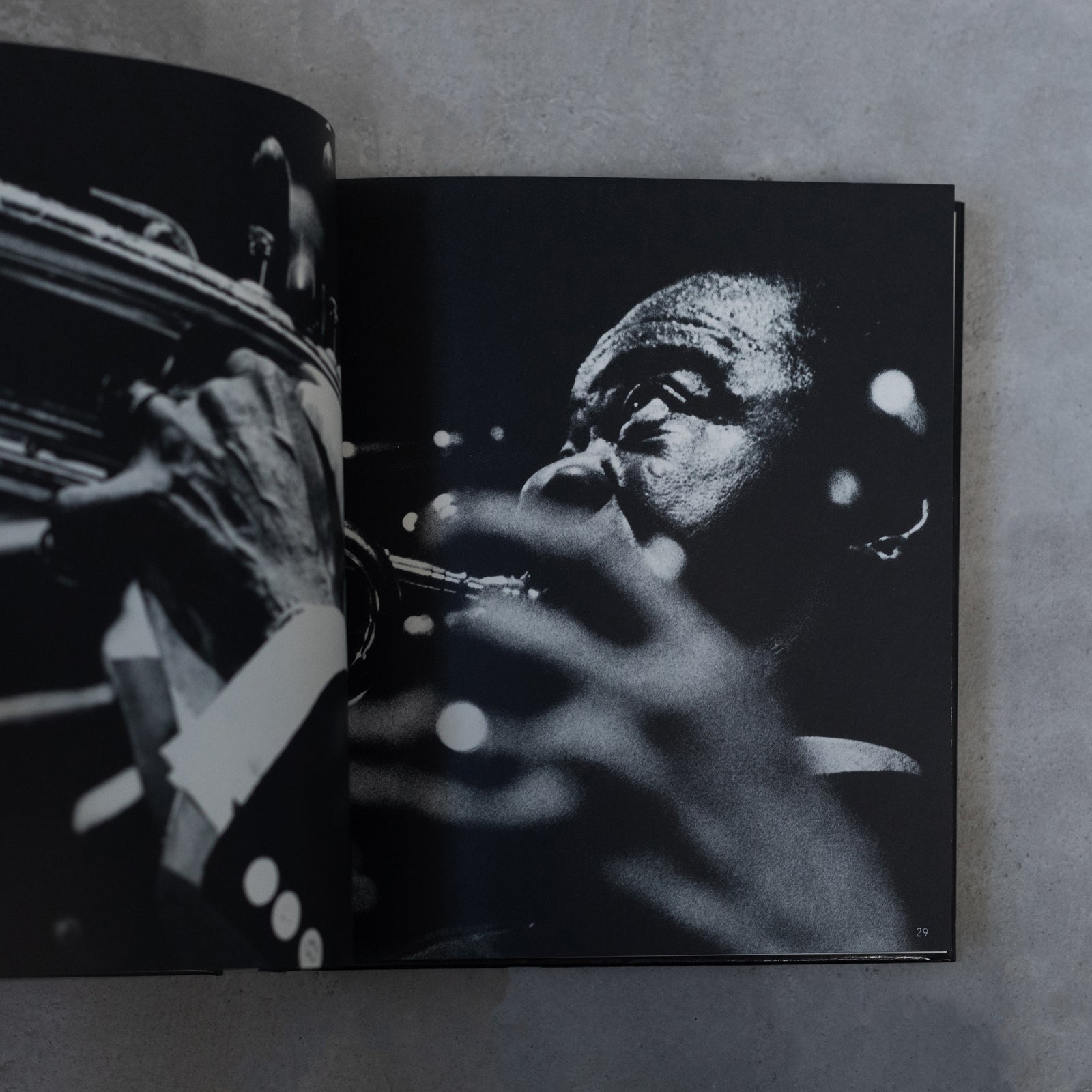 D4_3416_1600x.jpg?v=1692450960