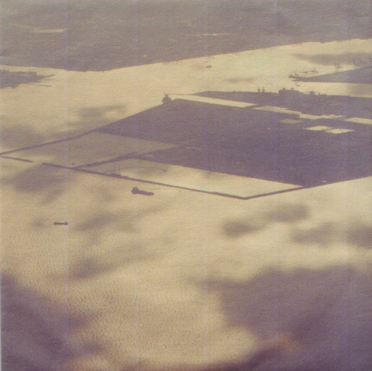 柴田聡子 『2011、冬のデモ』 貴重盤 しばたさとこ - メルカリ 柴田