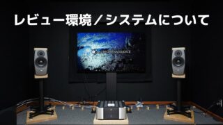 レビュー】soundcare SuperSpike SS6/SS8 - Audio Renaissance