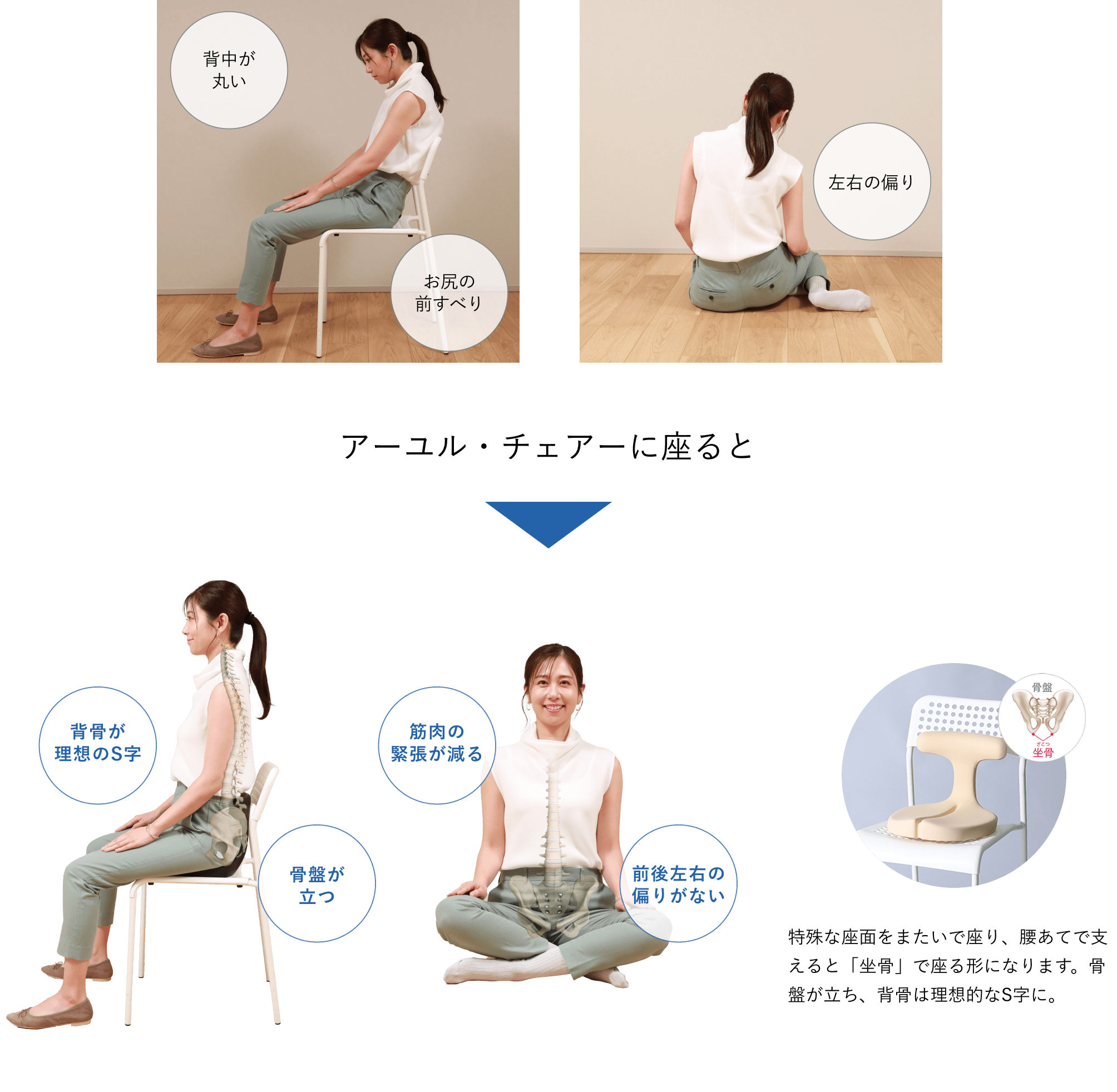 姿勢サポート・座面シート｜腰痛対策・姿勢改善椅子、学習椅子（イス
