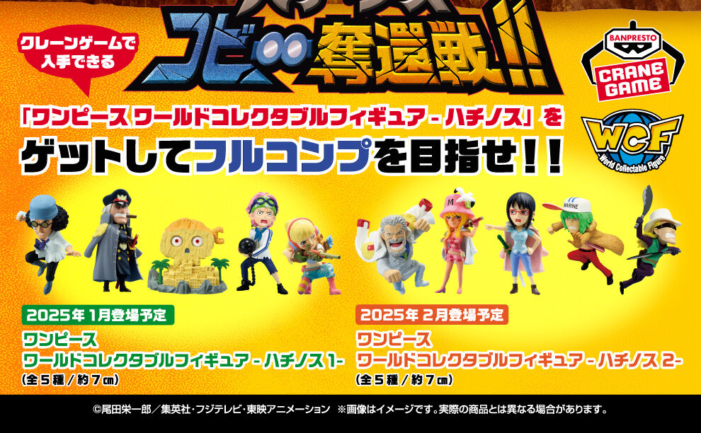 ワンピース ワールドコレクタブルフィギュア PREMIUM-黒ひげ海賊団