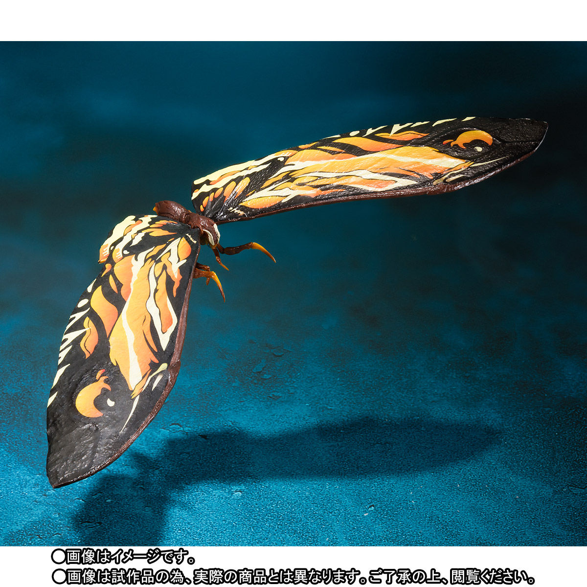 S.H.MonsterArts モスラ（2019）＆ラドン（2019） | ゴジラシリーズ