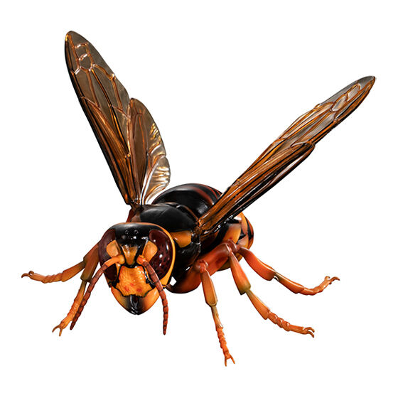 いきもの大図鑑アドバンス スズメバチ02｜ガシャポンオフィシャルサイト