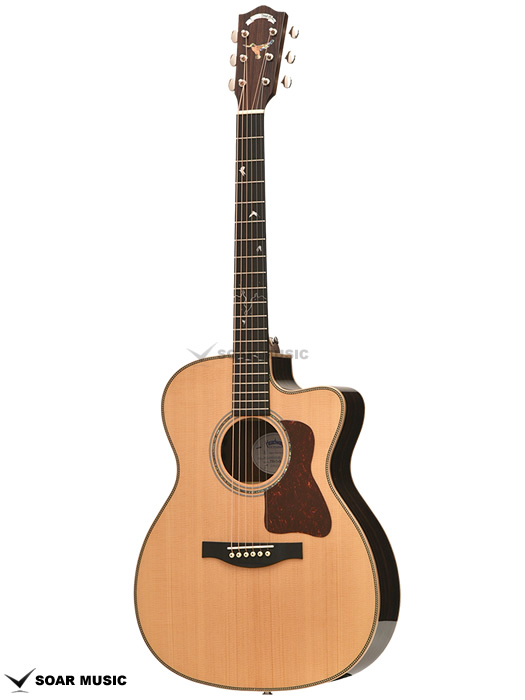 HOC-KINGFISHER (Headway)