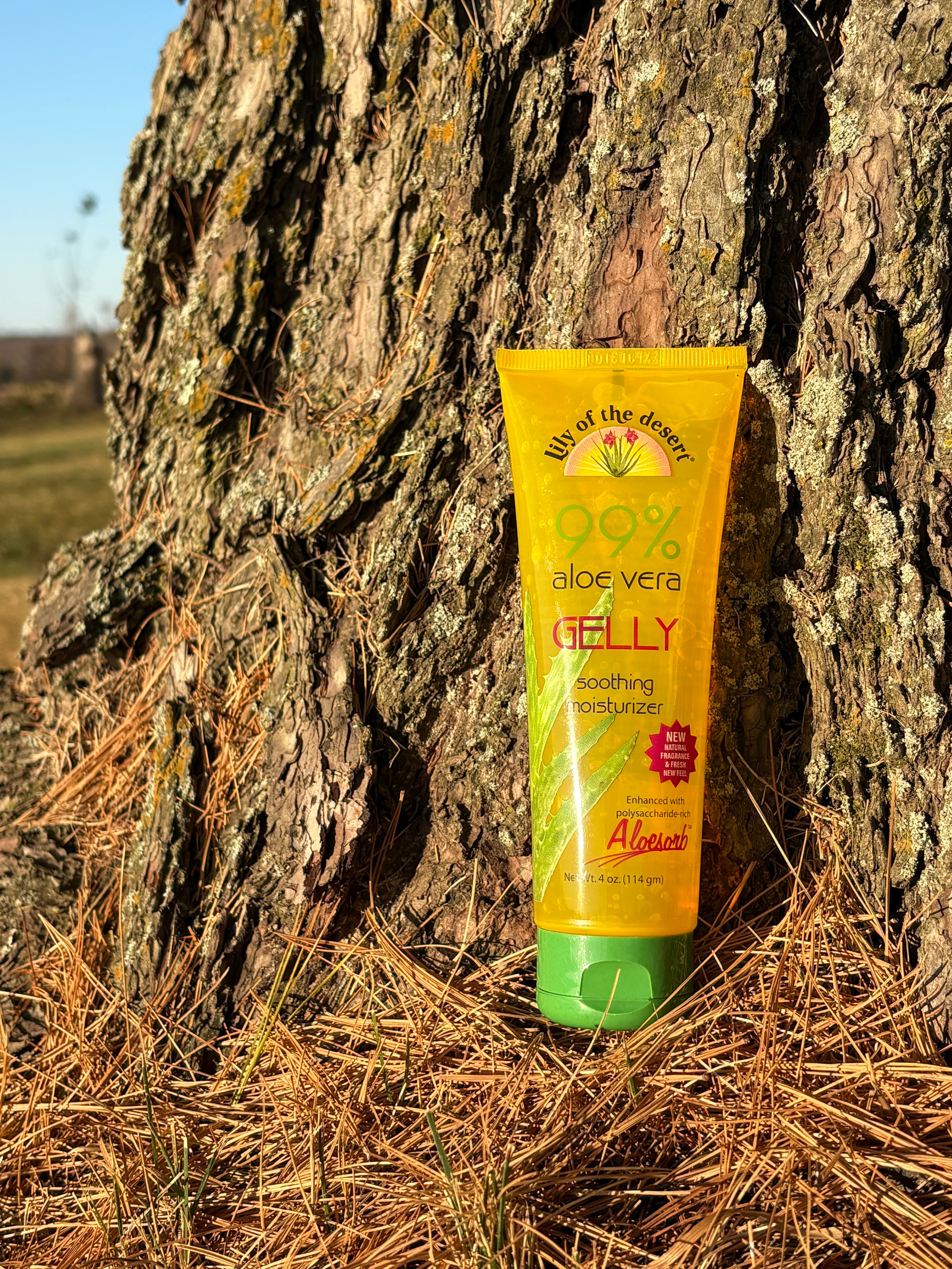 Aloe Vera Gelly 4 oz – BarbaraOneill.com