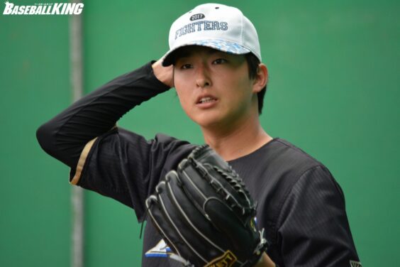 北海道日本ハムファイターズ プロコレキャップ#51石川直也(元日ハム