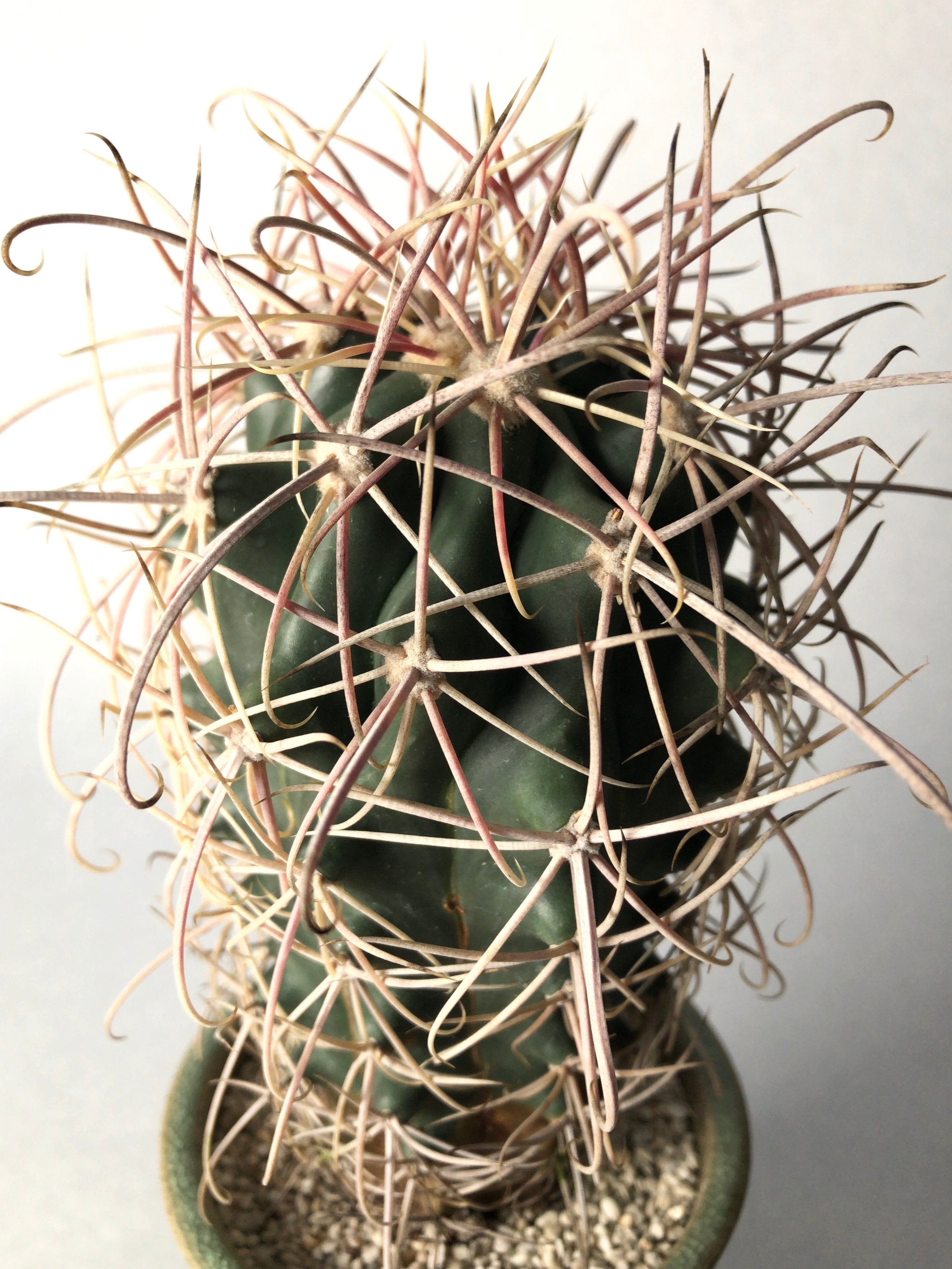 44081770d4e6f3a22824aec336de52