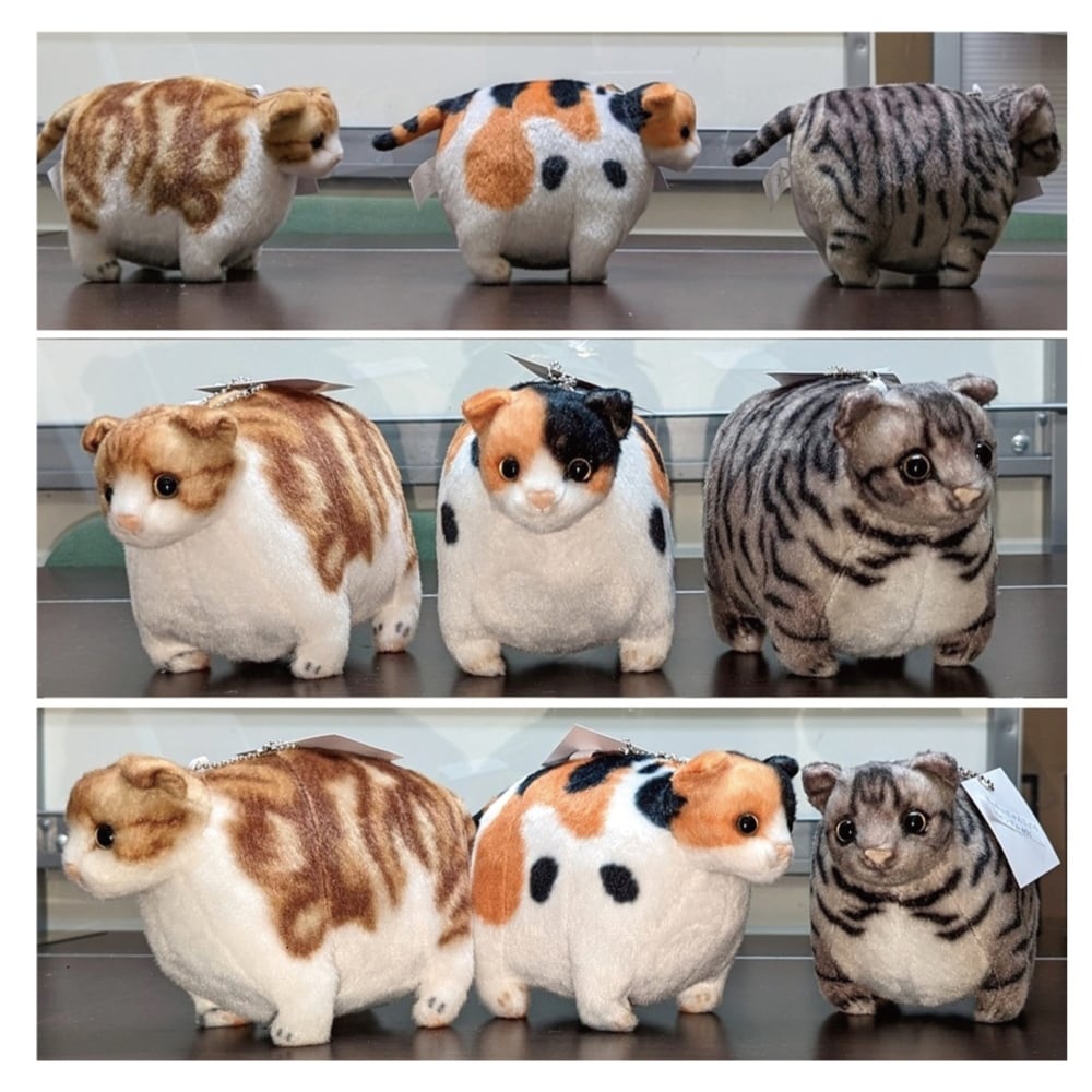 ふとっちぃZooにゃんこmini 三毛猫 | リードのおみせ Catail
