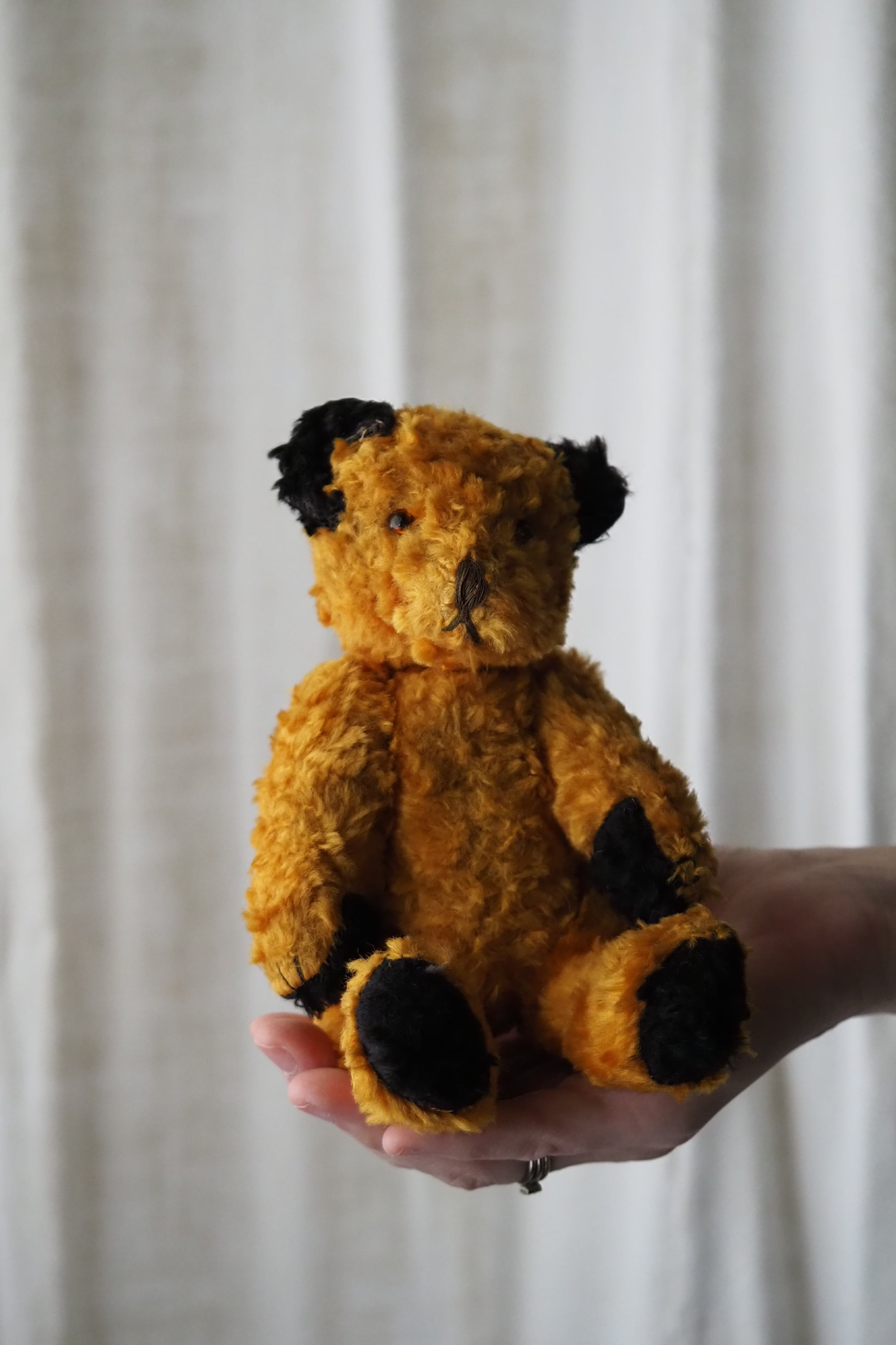 首を傾げるスーティーベア-vintage teddy bear | アンティーク