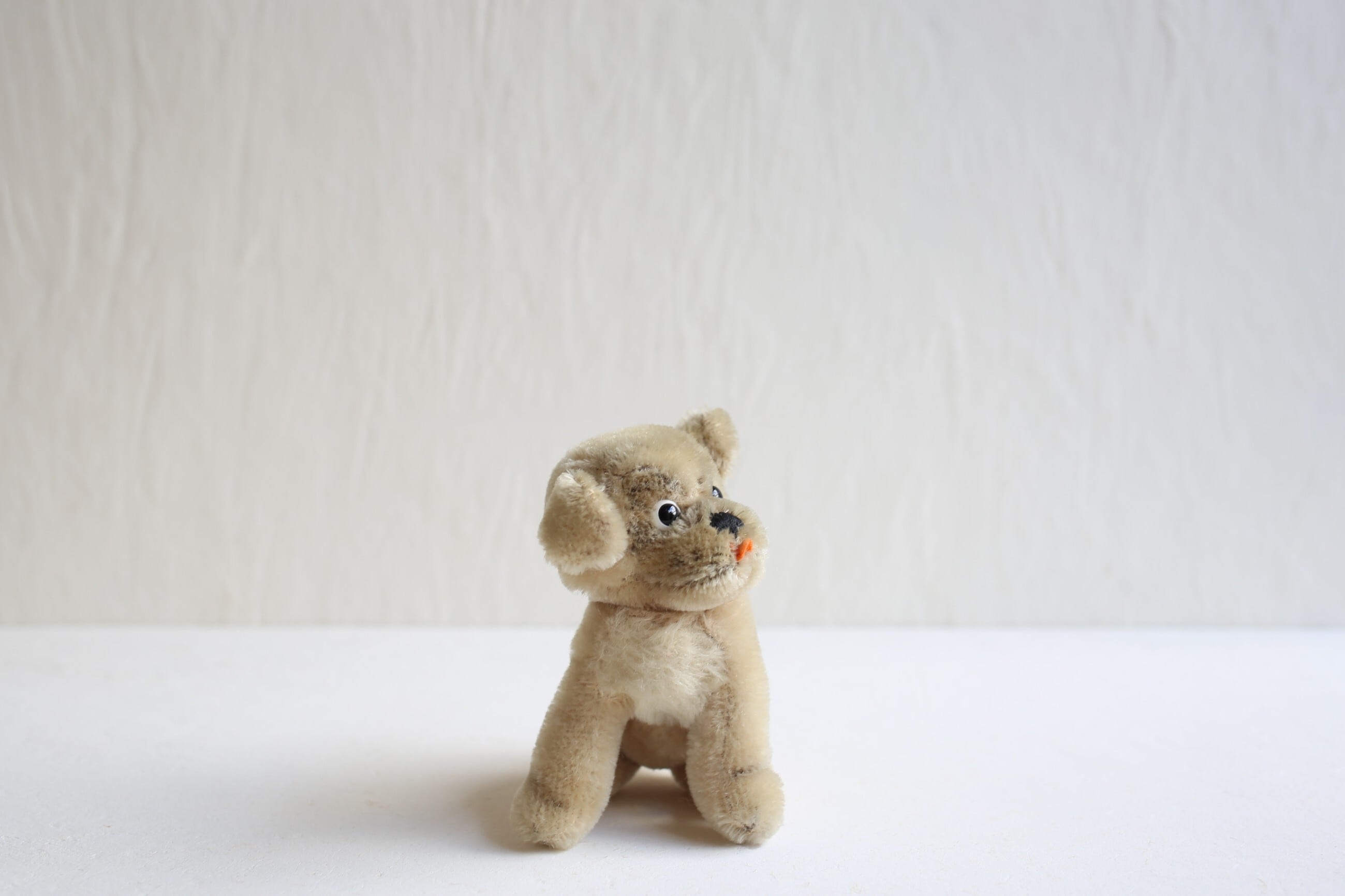 シュタイフ steiff | EMUPARIS