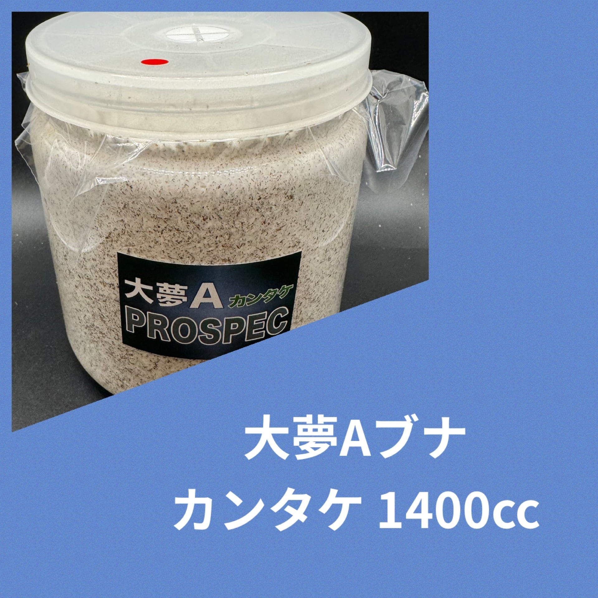 神長きのこ園s8カンタケ菌糸ビン 6本 S8カンタケ 1400cc | KPW公式