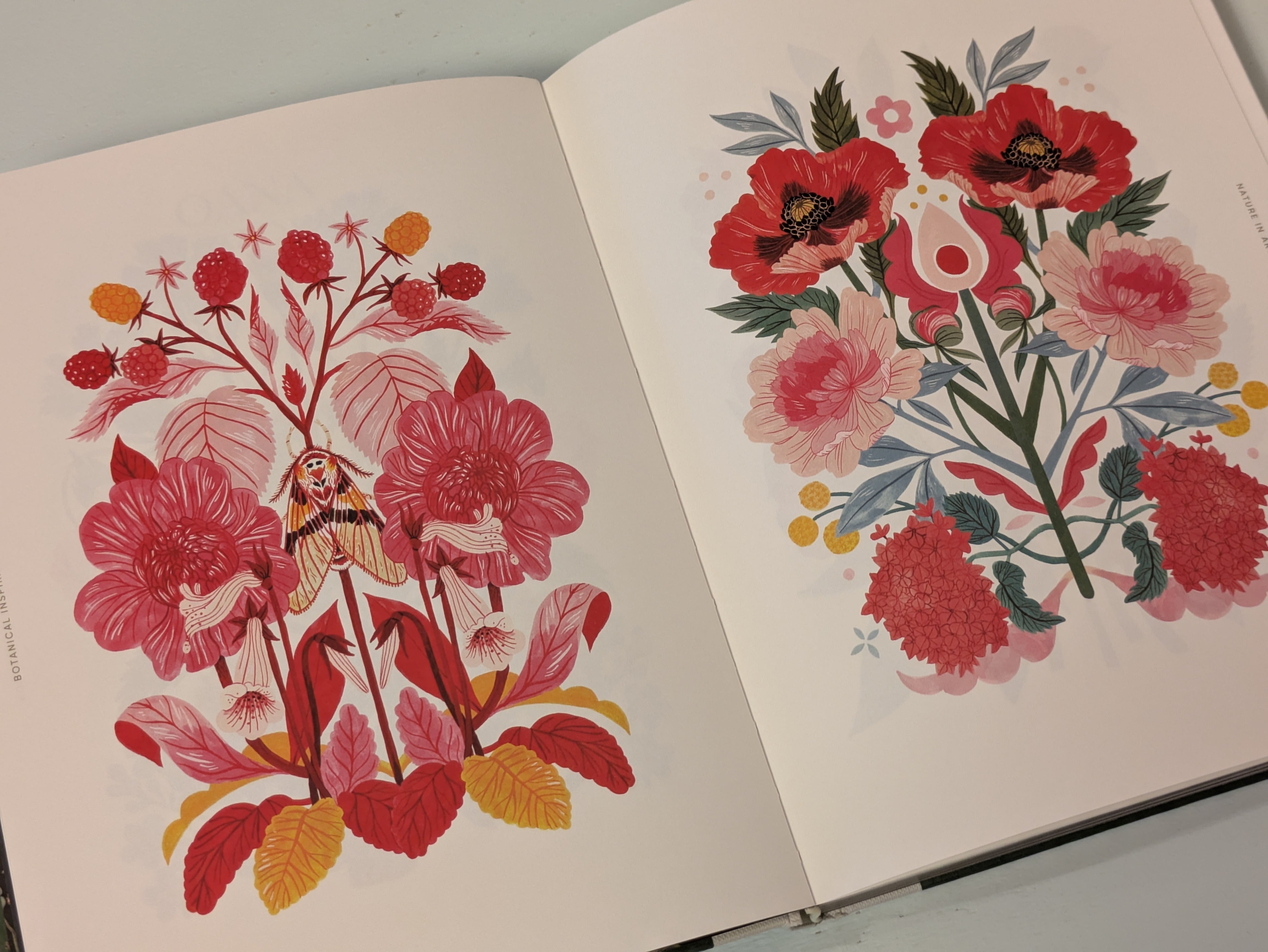 Botanical Inspiration : Nature in Art and Illustration