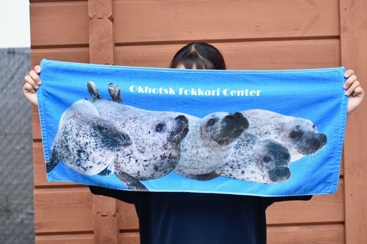 7da5df3d79a81919ff45d6895f39fa