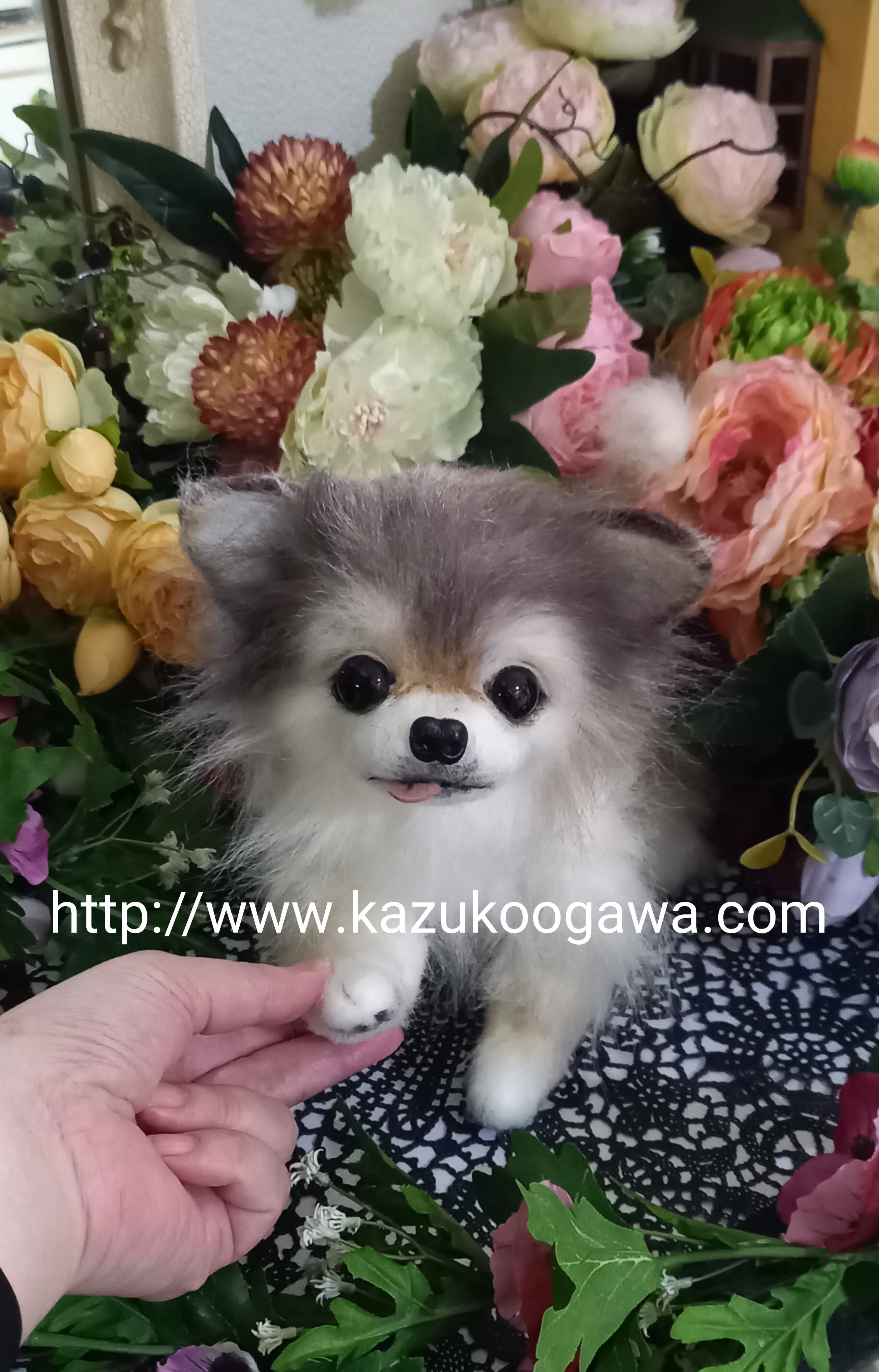 展示写真 チワワ 実物大 リアル ぬいぐるみ 羊毛 カズコオガワ