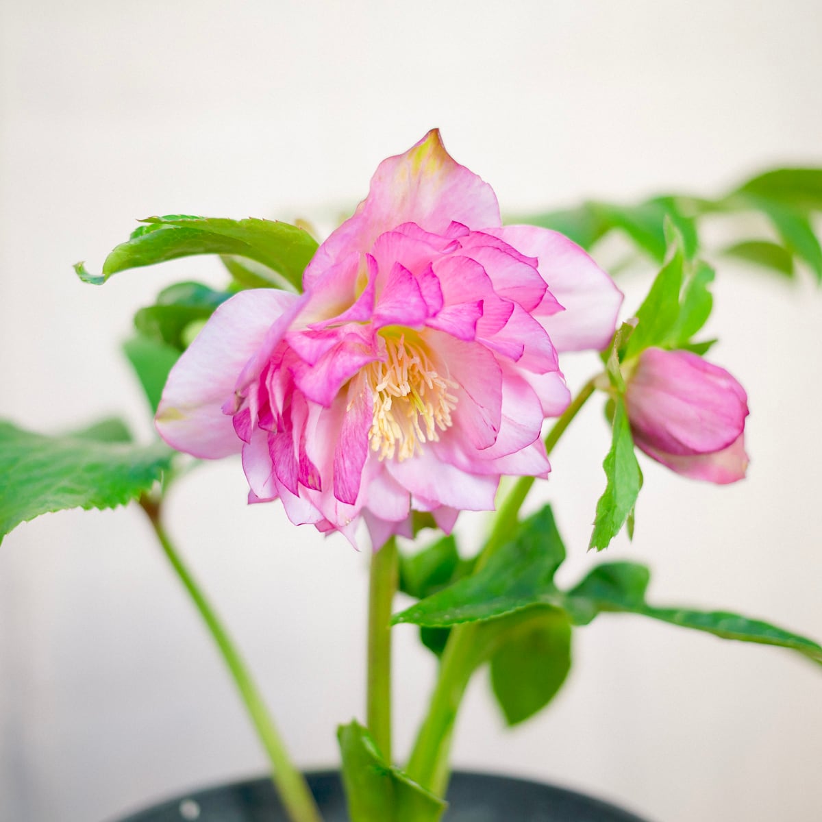 94c40756163bd8537a77f7280907e0