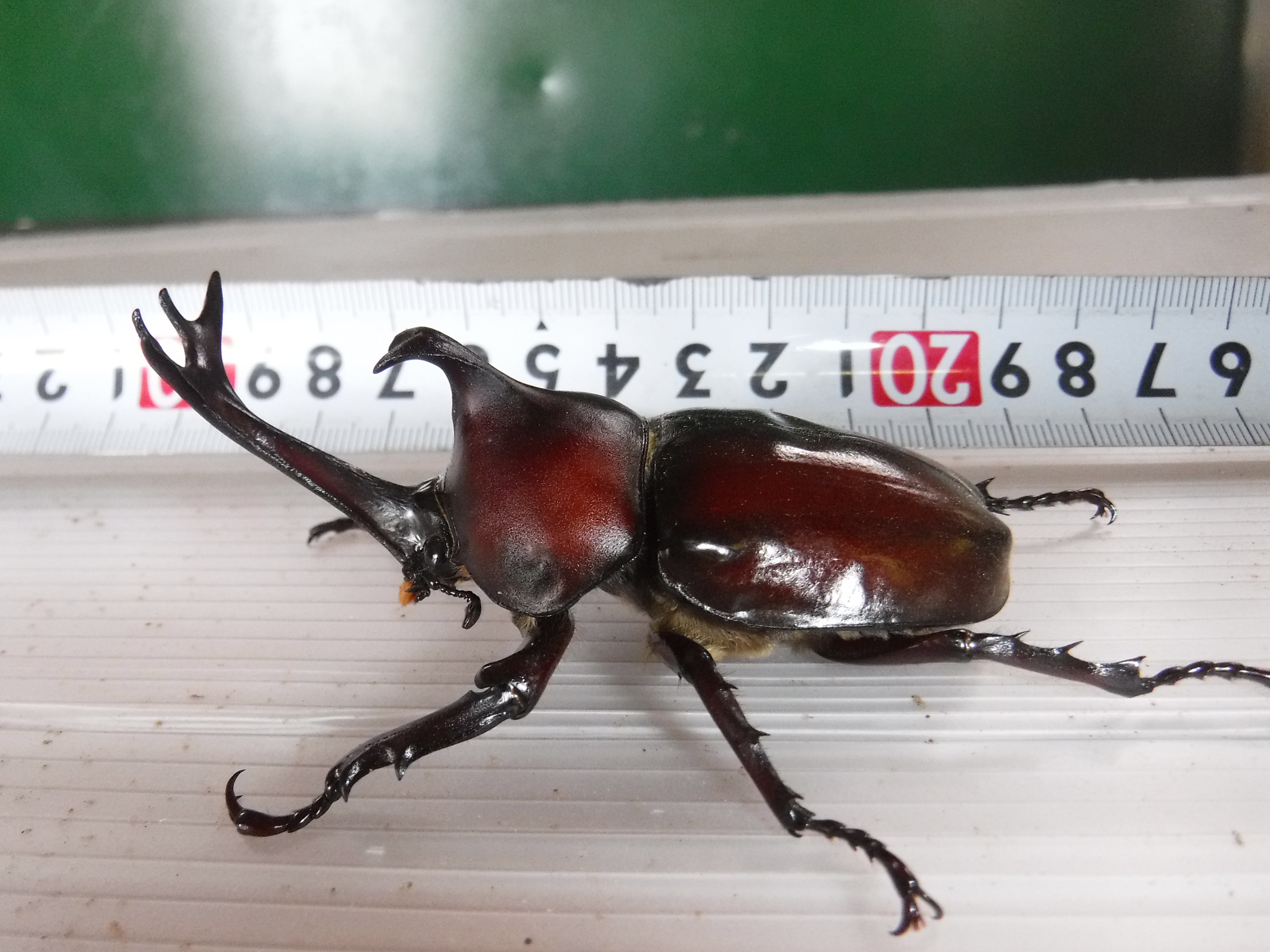 9ce8307765add1b9bc4896d274de3a