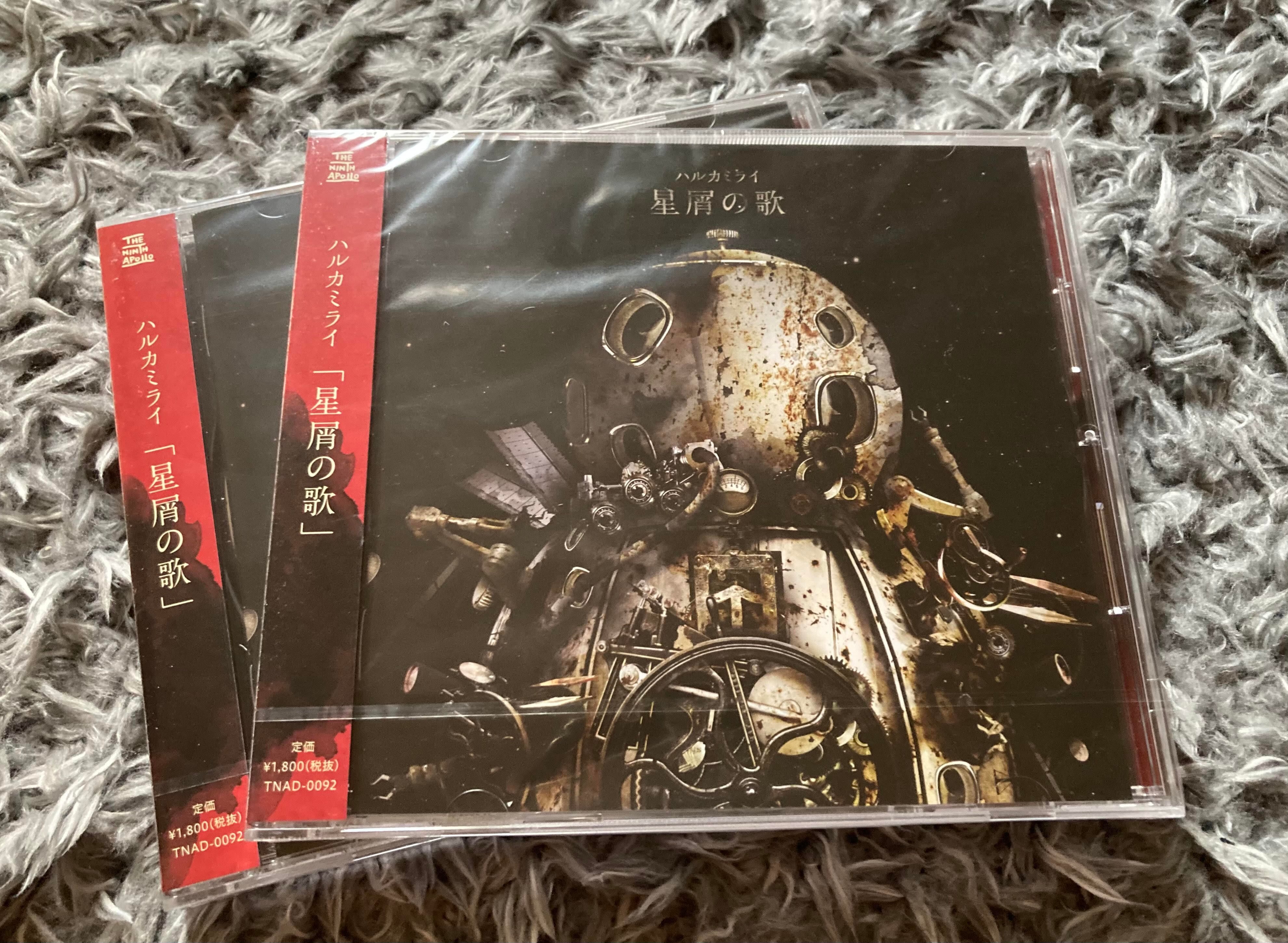 ハルカミライ / 星屑の歌 | motion records