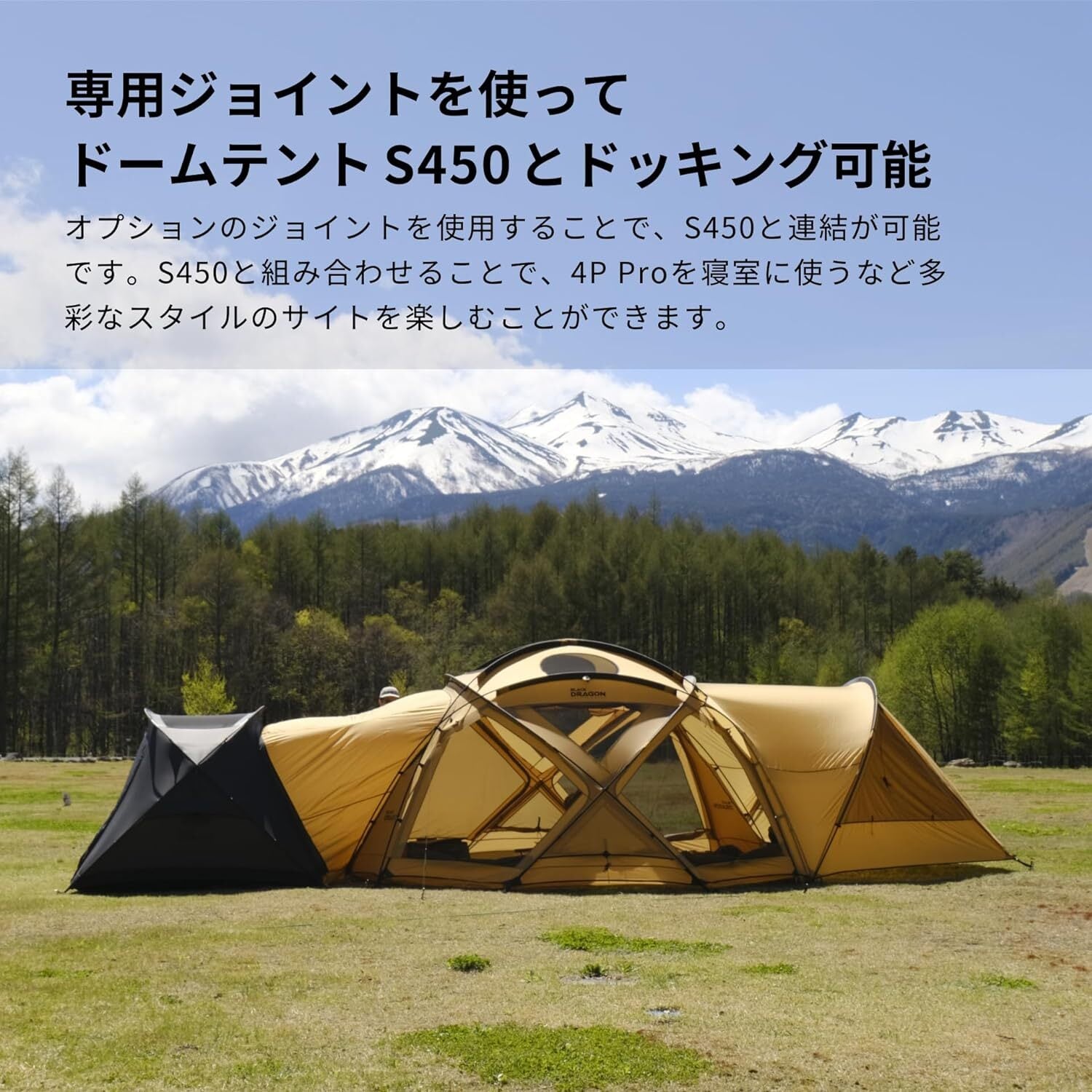 4P Pro YUNAN Pole | Black Dragon Japan