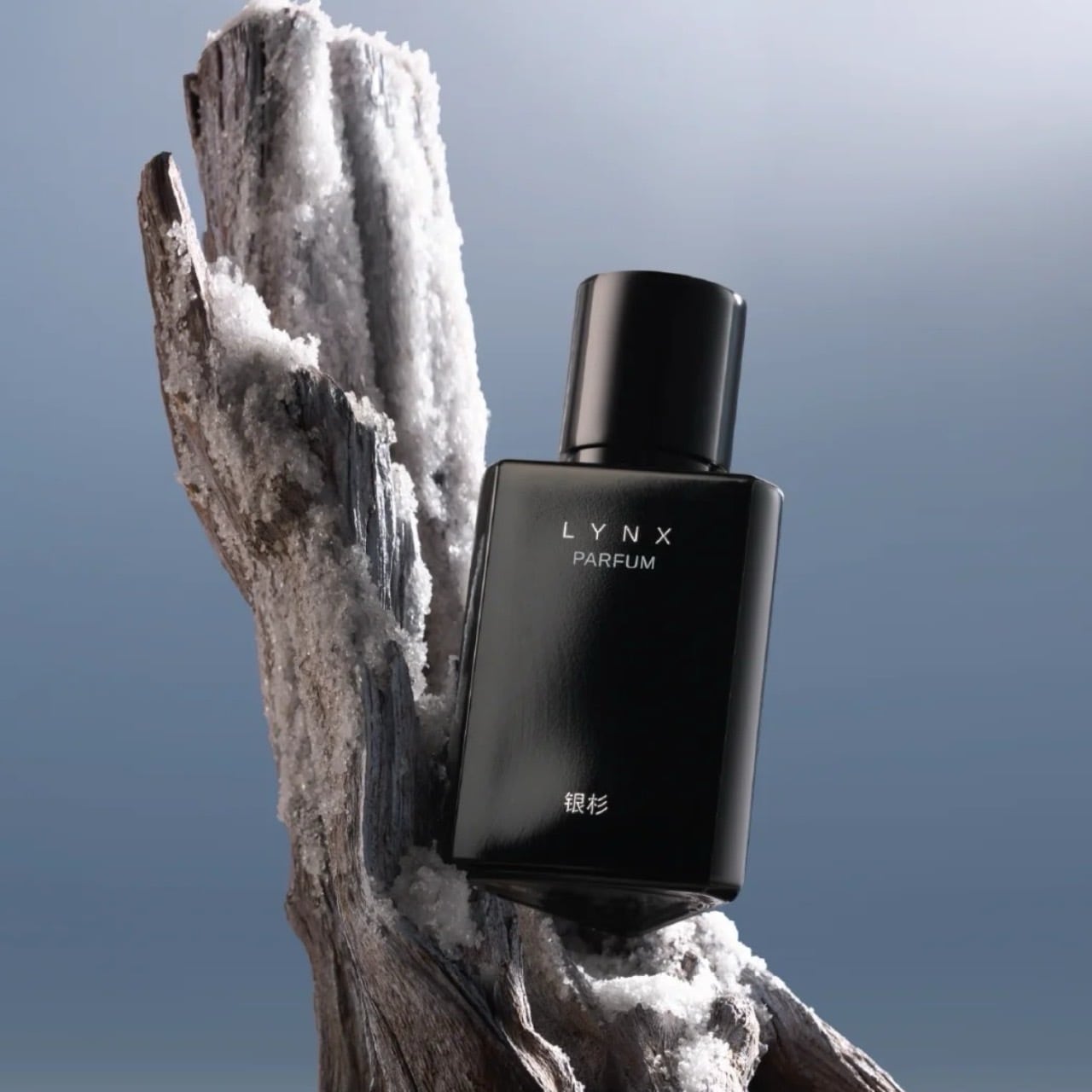 銀杉】HE WOLF | 香跡万里KOUSEKIBANRI